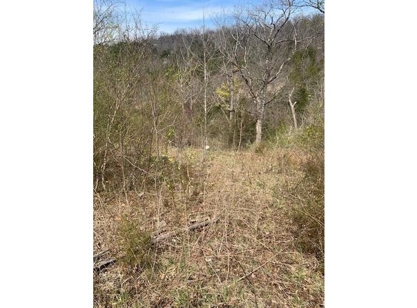 265 Lakeview Drive, Hollister, MO 65672