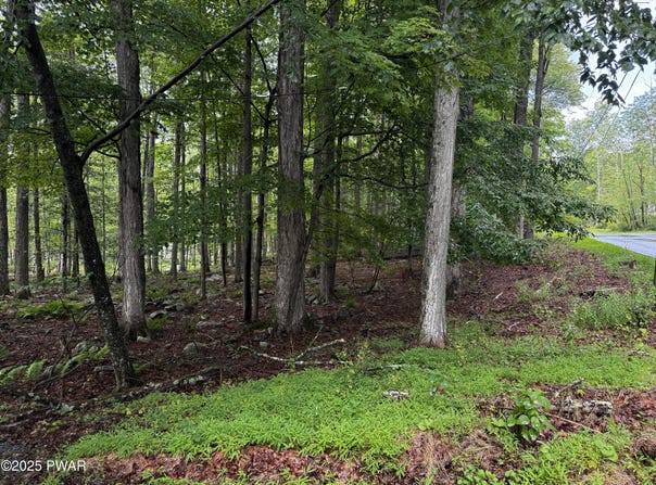 101 Elm Lane, Greentown, PA 18426