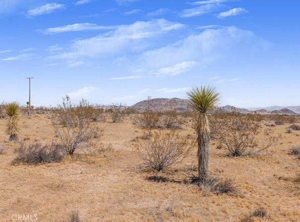 3 Ducor Avenue, Landers, CA 92285