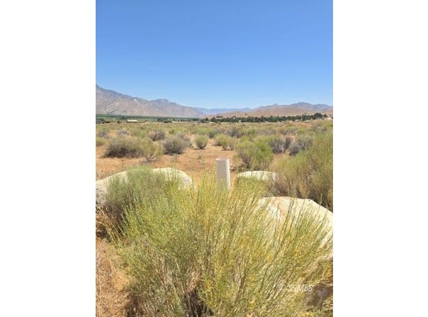 426-390-26 Flycatcher, Weldon, CA 93283