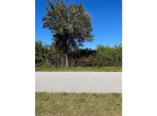 11048 GRAFTON AVENUE, ENGLEWOOD, FL 34224
