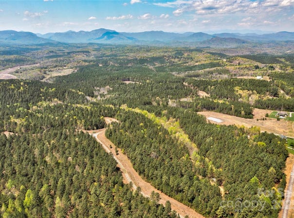 Chestnut Oak Trail, Mill Spring, NC 28756