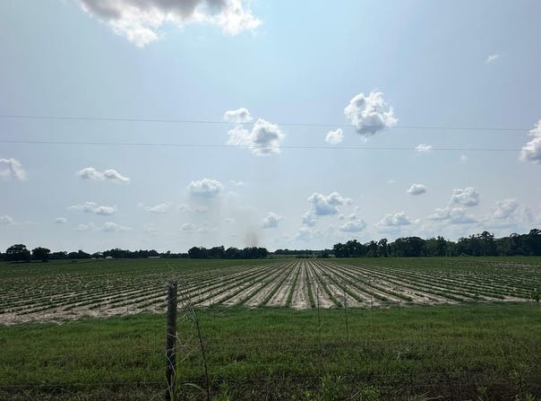 10 Acres Lot 11 Fondren Rd, Slocomb, AL 36375