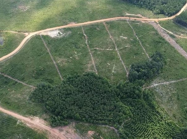 Ridge Road lot: 15, Seale, AL 36875