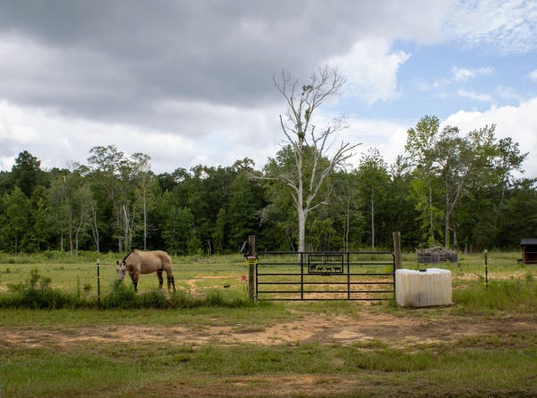 1130 Piedmont, The Rock, GA 30285