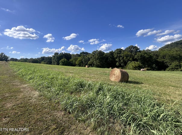Lot 8c River Ranch, Blaine, TN 37709