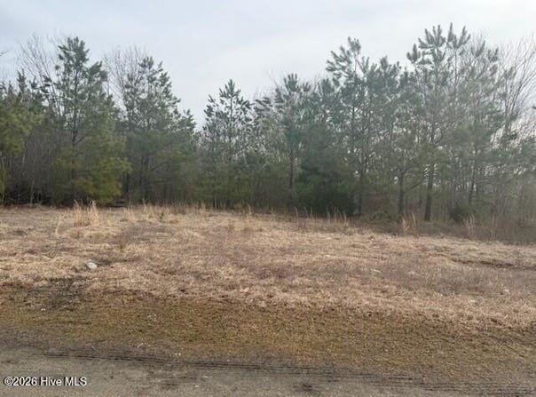Carter Street, Woodland, NC 27897