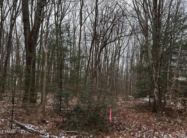 Black Bear Pass, White Haven, PA 18661