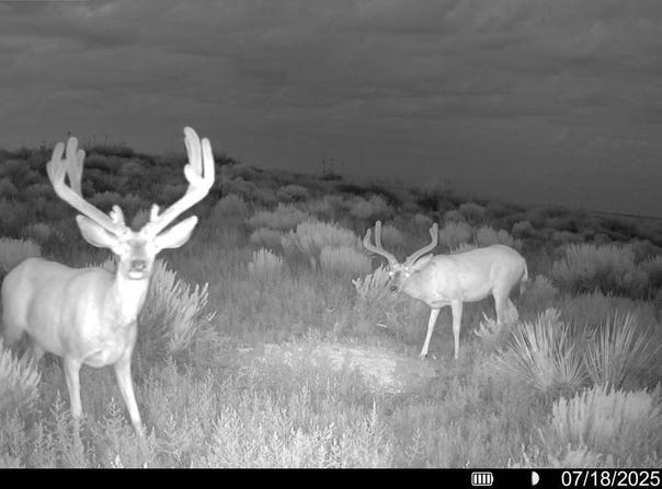 TBD Road AA, Lakin, KS 67860