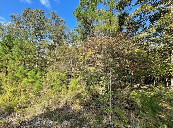 3 Woodland Heights W, Poplar Bluff, MO 63901