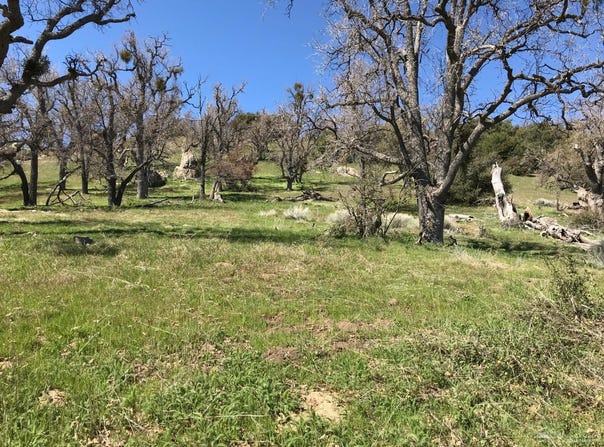 30341 Starland Drive, Tehachapi, CA 93561