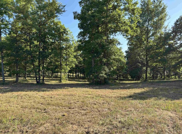 Lot 1 Grant County Road 762, Sheridan, AR 72150