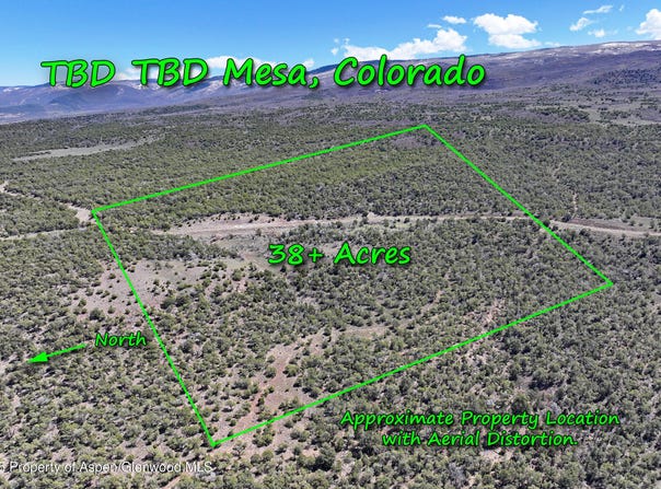 Tbd TBD, Mesa, CO 81643