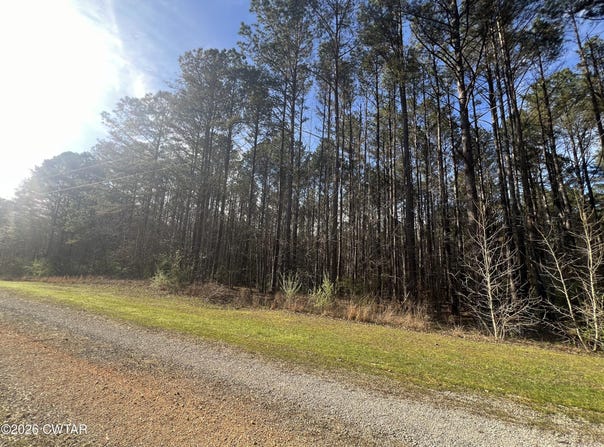 116 Zara Spook Dr Lot 139, Cedar Grove, TN 38321