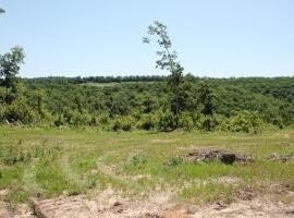 39250-9260  Hwy 27, Witts Springs, AR 72686