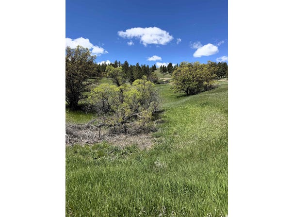 11 Tower Ridge Drive, Devils Tower, WY 82714