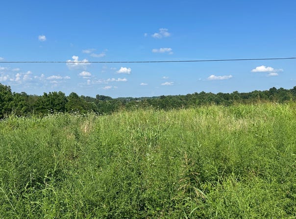 Tract #17 Statham Rd, Liberty, KY 42539