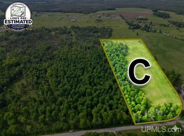 River J.5 Parcel C Lane, Cornell, MI 49818