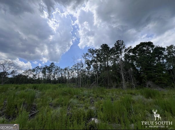 2800 Youngs Island Rd NW, Townsend, GA 31331