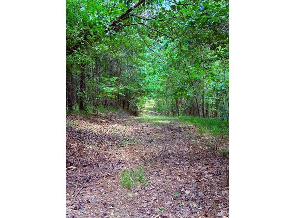 454 County Road 211, Carrollton, MS 38917