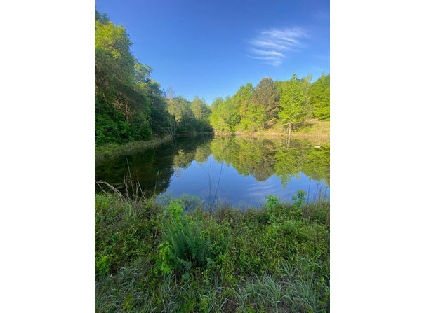 Approx 44 acres County Rd 67, Midland City, AL 36350