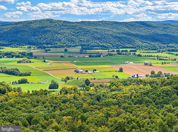 371 COPELAND SPRING TRL, ALLENSVILLE, PA 17002