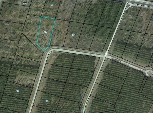 00 (lot 23) Satilla Plantation Road, Waynesville, GA 31566