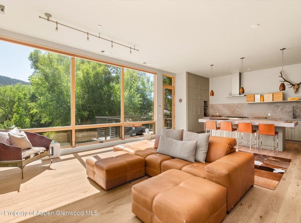 103 Willits Way, Basalt, CO 81621