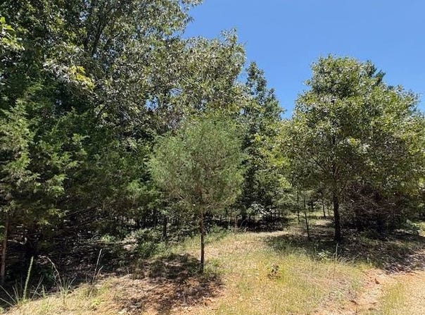 1500 Squirrel Hill Road, Salem, AR 72539