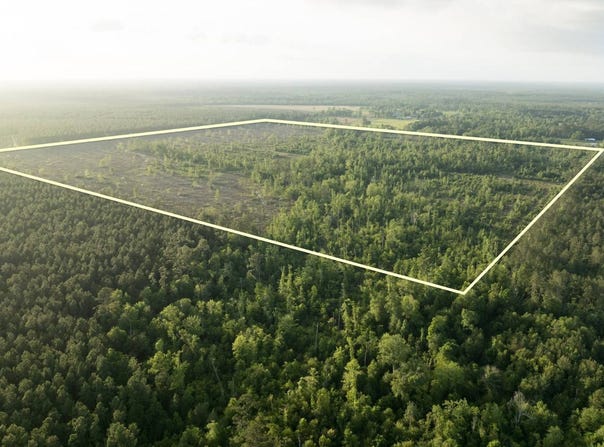 Dickerson Road, Dequincy, LA 70633