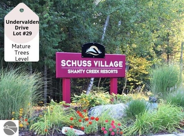 29 Undervalden Drive, Bellaire, MI 49615