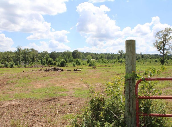 CR 1110 - Tract 4, Rusk, TX 75785