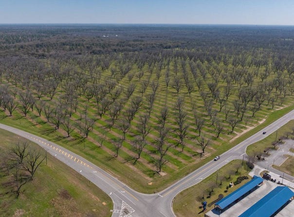 0 US Highway 19, Leesburg, GA 31763