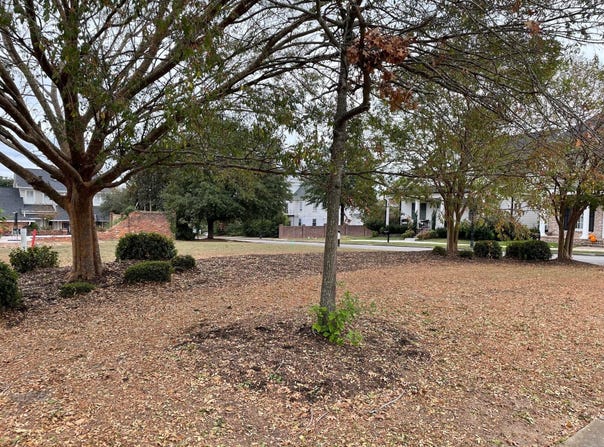 2111 Carnes Place, Augusta, GA 30904