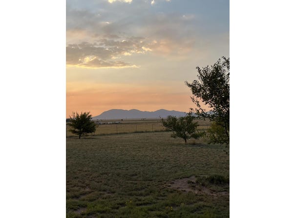 Tomasini Court, Moriarty, NM 87035