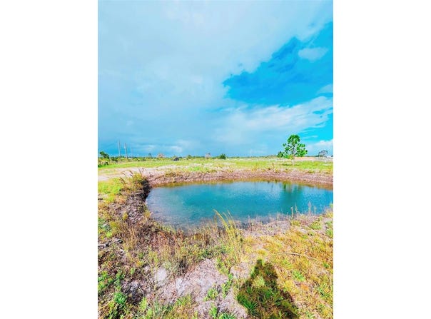 20380 NW 250 STREET, OKEECHOBEE, FL 34972