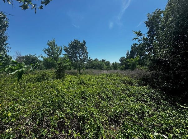 138 E 1650 Road, Marlow, OK 73055