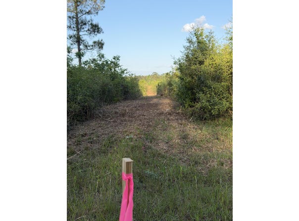14.6 Acres Hwy 48 E, Sandy Hook, MS 39478