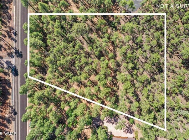 2280 S Bristlecone Drive, Show Low, AZ 85901
