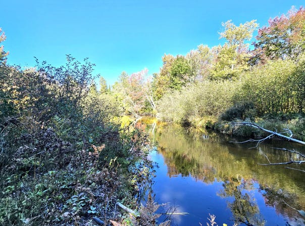 N Betsy River Road lot: 12, Paradise, MI 49768