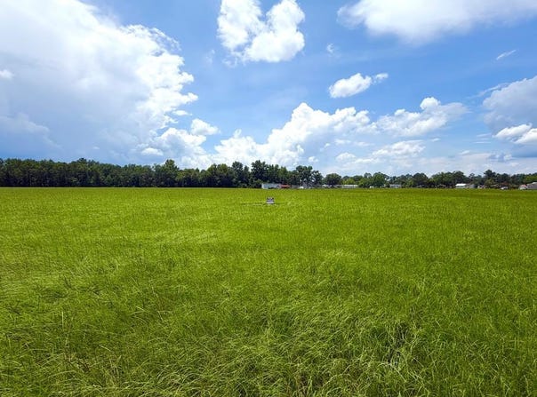 Alpine Tr, Willacoochee, GA 31650