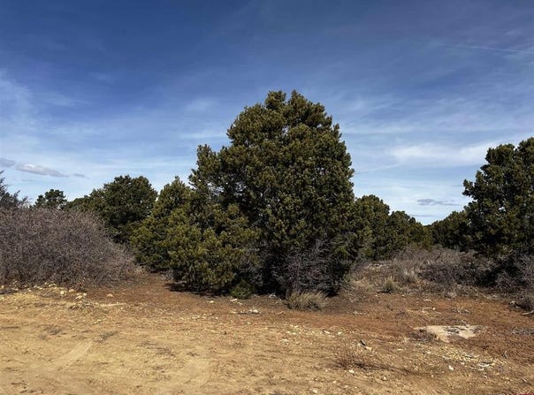 Lot 1 Road J.7, Egnar, CO 81325