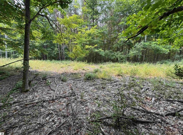 Lot #2 E Bellinger Road, Cedar, MI 49621