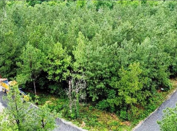 25 Mission Fig Trail, Broken Bow, OK 74728
