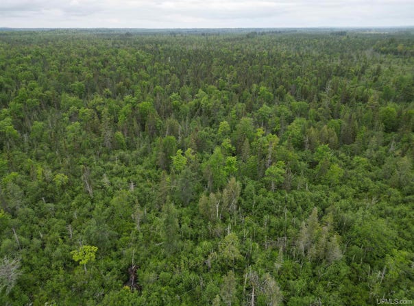 TBD Off EE.25, Rapid River, MI 49878