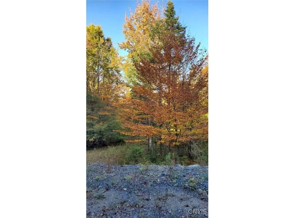 Steinfeldt Lane, Long Lake, NY 12847