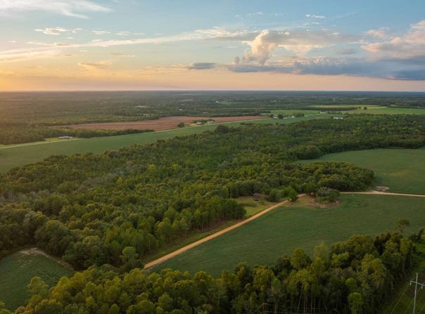 Nobles Road, Pitts, GA 31072