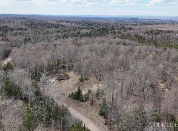 TBDNE Dogpatch Road, L'Anse, MI 49946