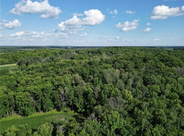 2816 120th Avenue, Two Rivers Twp, MN 56314