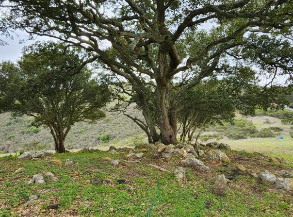 0 Salinas RD, SAN JUAN BAUTISTA, CA 95045
